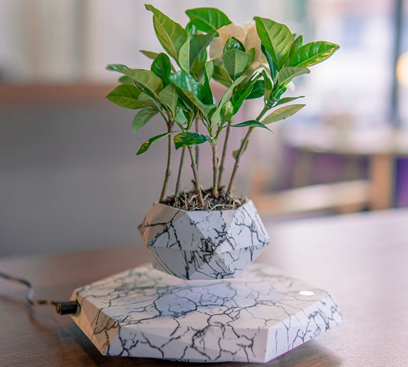 Levitating Plant Pot Marble Color Floating Planter