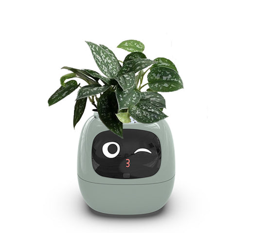 Smart Planter Endless Fun Over 49 Rich Expressions 7 Smart Sensors And AI Chips